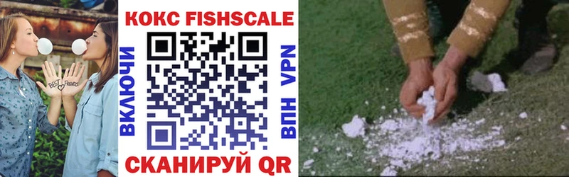 КОКАИН Fish Scale  сколько стоит  Таруса 