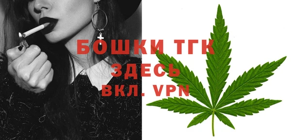 шишки Арсеньев