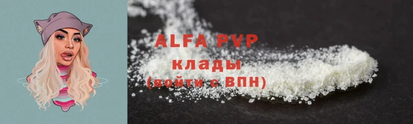 шишки Арсеньев
