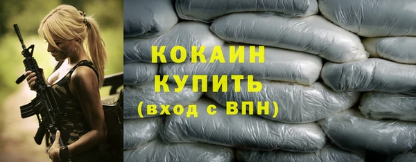 шишки Арсеньев